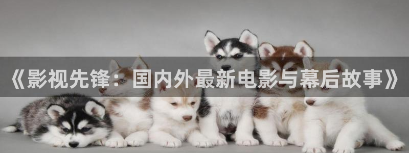 國產草草麻豆浮力影院：《影視先鋒：國內外最新電影與幕后故事》