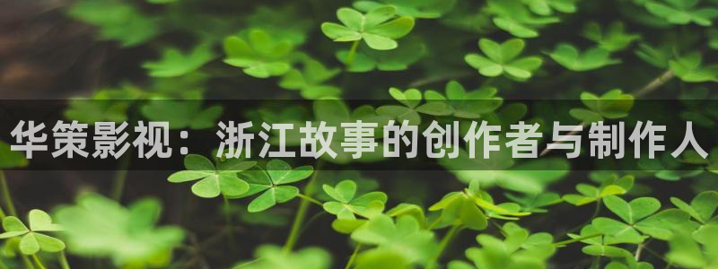 麻豆免費觀看高清完整視頻播放：華策影視：浙江故事的創作者與制作人