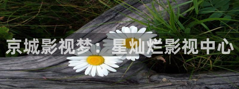 神馬影院達達兔91麻豆：京城影視夢：星燦爛影視中心