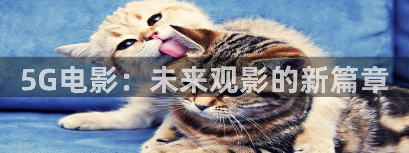 麻豆電影網在線觀看：5G電影：未來觀影的新篇章