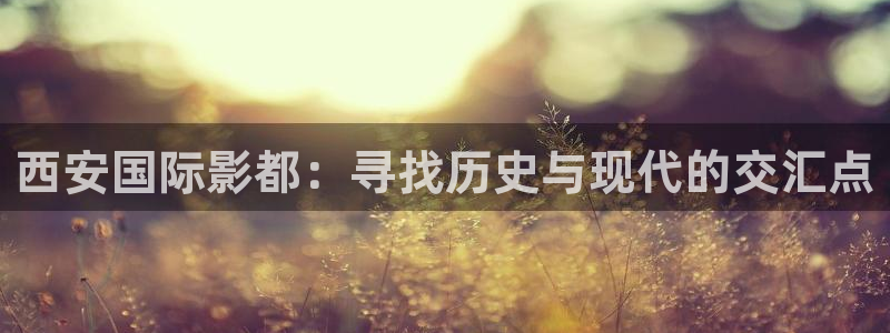在線視頻觀看麻豆：西安國際影都：尋找歷史與現代的交匯點