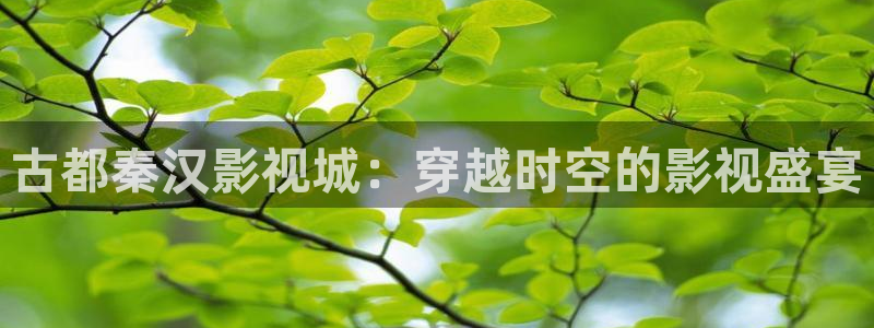 麻豆mv視頻免費觀看：古都秦漢影視城：穿越時空的影視盛宴