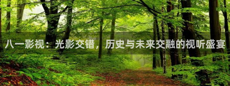麻豆久久久9性大片：八一影視：光影交錯，歷史與未來交融的視聽盛宴