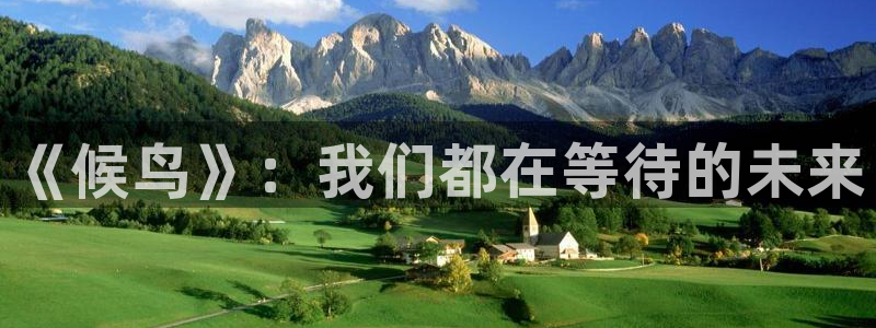 久久麻豆三級電影：《候鳥》：我們都在等待的未來